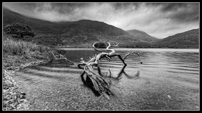 Cumbria
