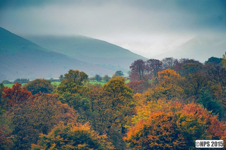 Autumn Colour
Mid Wales this weekend
