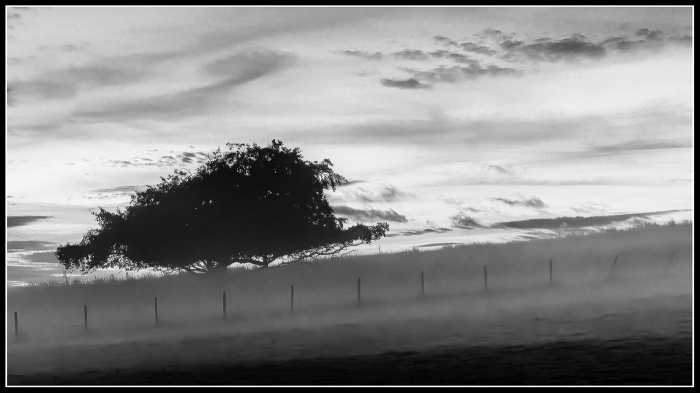 Early Morning Mist on Exmoor
Keywords: Woolhanger Lodge