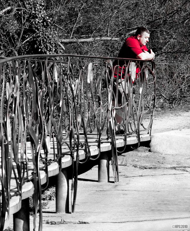 Contemplating Competition
