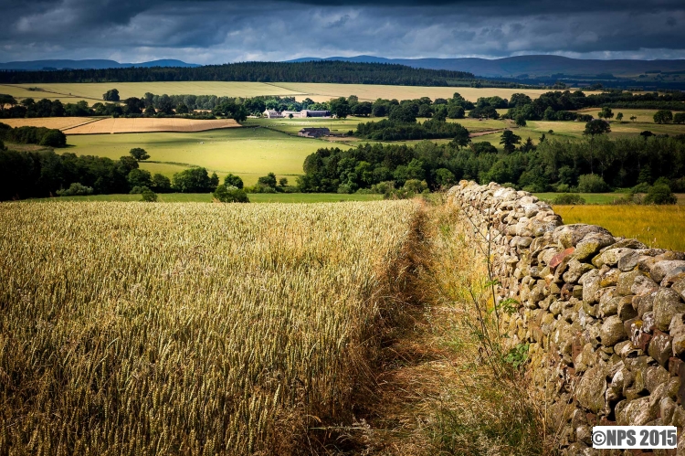 Cumbria
