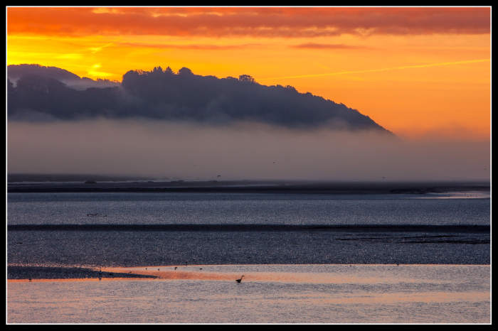 Laugharne Sunrise
