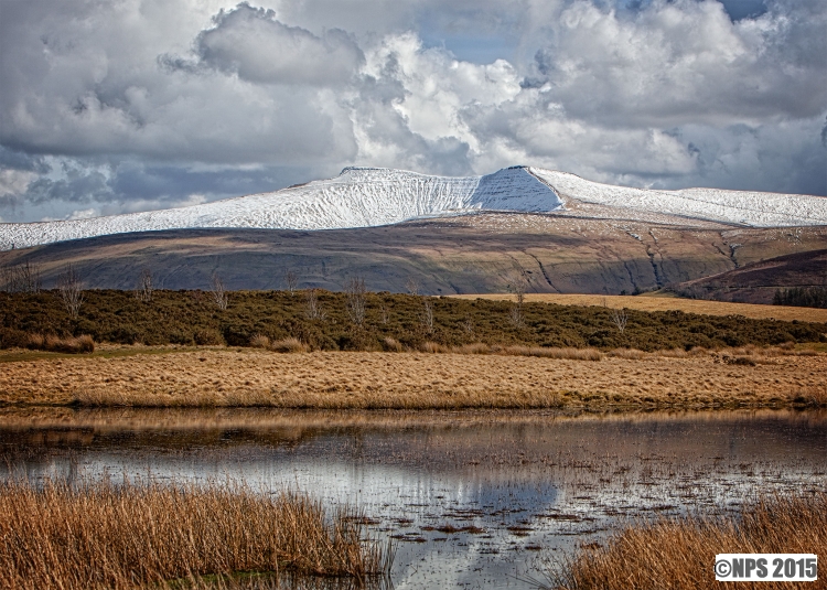 Pen y Fan Reflection
