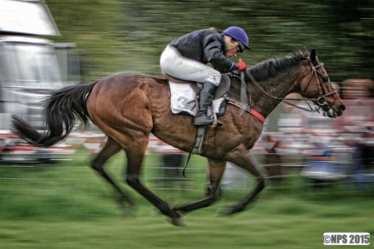 Point to Point Horse Racing
