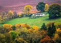 IMG_2639-Edit.jpg