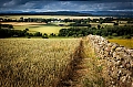 cumbria_MG_9182.jpg