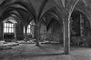 Neath_Abbey~1.jpg