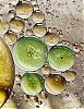 Filename=Odd_Ones_Out.jpg
Filesize=125KiB
Dimensions=581x750
Date added=Jun 08, 2011 Odd_Ones_Out.jpg