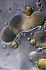 Filename=Surrealists_Galaxy.jpg
Filesize=60KiB
Dimensions=498x750
Date added=Jun 08, 2011 Surrealists_Galaxy.jpg