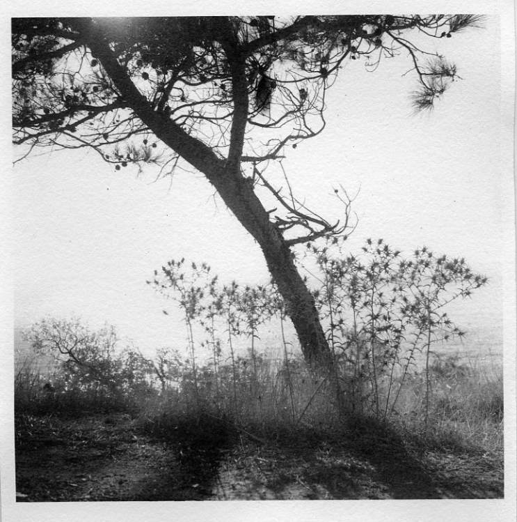 Cretan backlight
