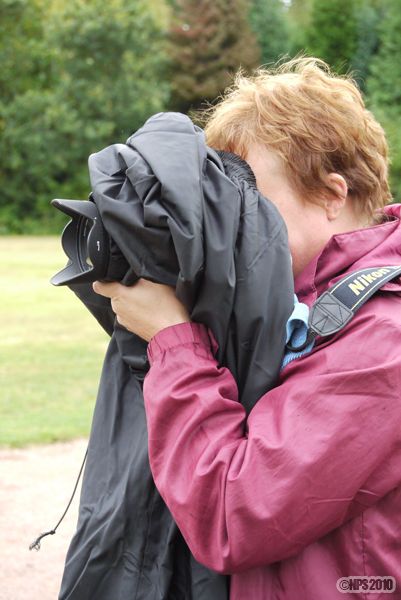 Bird of Prey spotted at Newent
I think its a Trouser billed Nikon- very rare species
