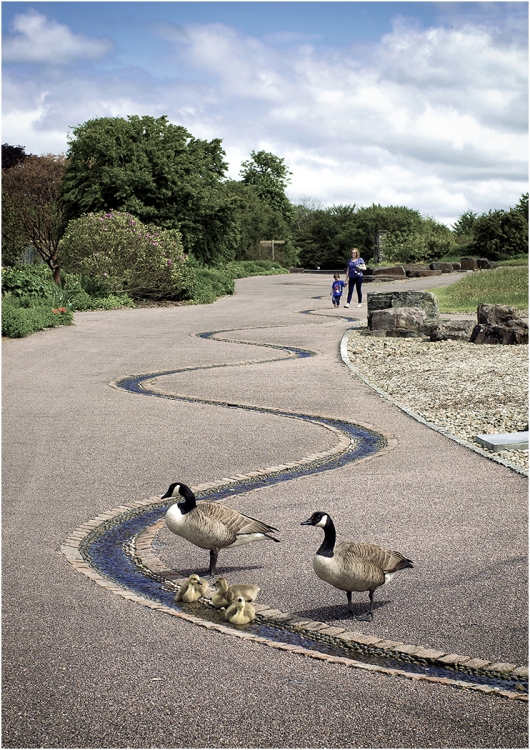 Family Outing
Scored 16 (pdi), open category.
Taken at National Botanic Garden of Wales.
Pentax K-5IIs. 50mm, f/8, 1/250sec, ISO 100.
