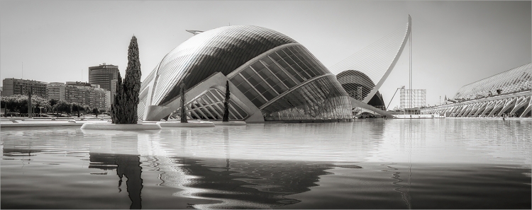 City of Arts and Sciences
Scored 20 (pdi), architecture category.
Pentax K-5IIs. 16mm, f/8, 1/125sec, ISO 100, tripod.
